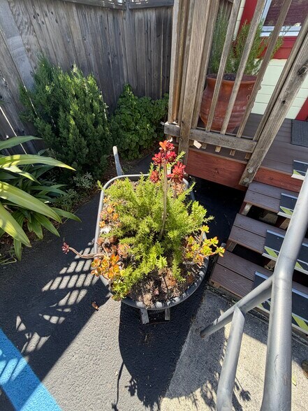 More Photos Of 720 E Washington St, Petaluma Office For Sale