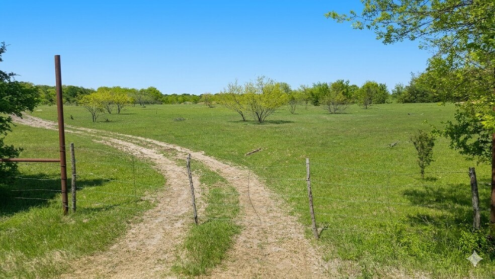 Primary Photo Of Highway 56, Southmayd Land For Sale