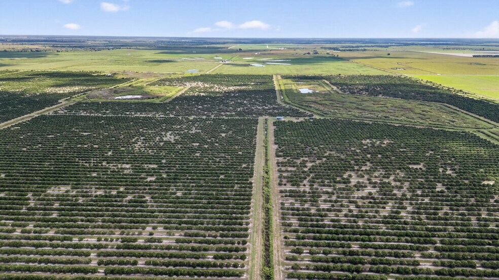 More Photos Of 8476 Ten Mile Grade, Zolfo Springs Land For Sale