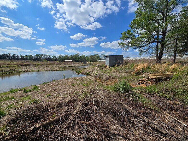 More Photos Of 11888 County Road 345, Winona Land For Sale