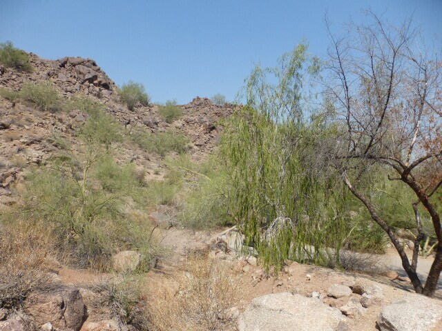 More Photos Of 6010 E Cholla Ln, Paradise Valley Land For Sale