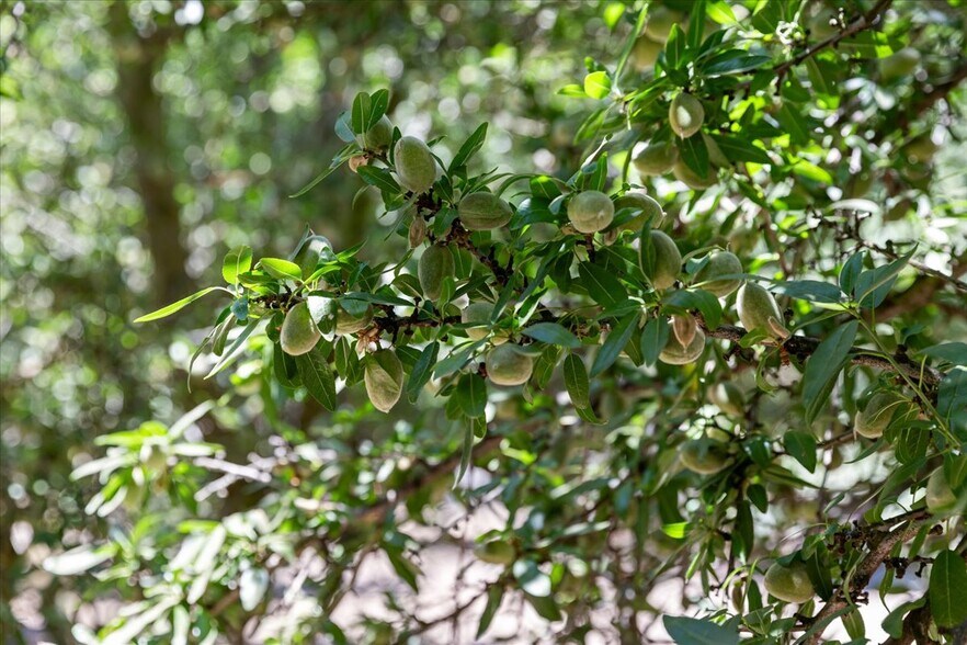 More Photos Of 625 N Hopper Rd, Modesto Land For Sale