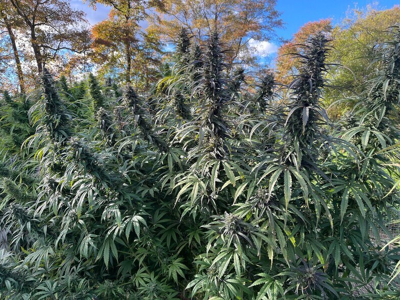 More Photos Of 149 Brindletown Rd, New Egypt Land For Lease