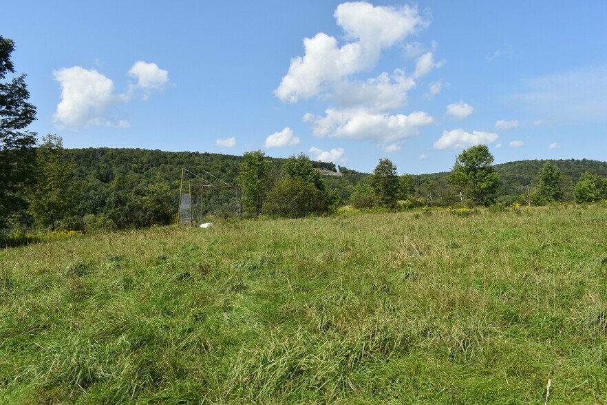 More Photos Of 2276 Old Route 17, Windsor Township Specialty For Sale