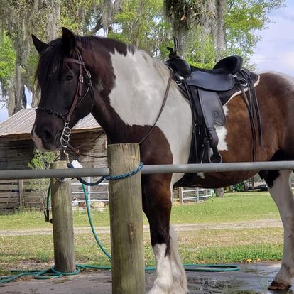 More Photos Of 4690 89th Rd, Live Oak Land For Sale