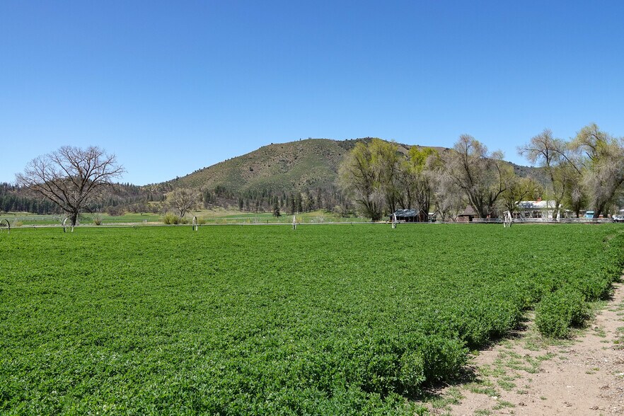 More Photos Of 13317 McAdams Creek Rd, Fort Jones Land For Sale