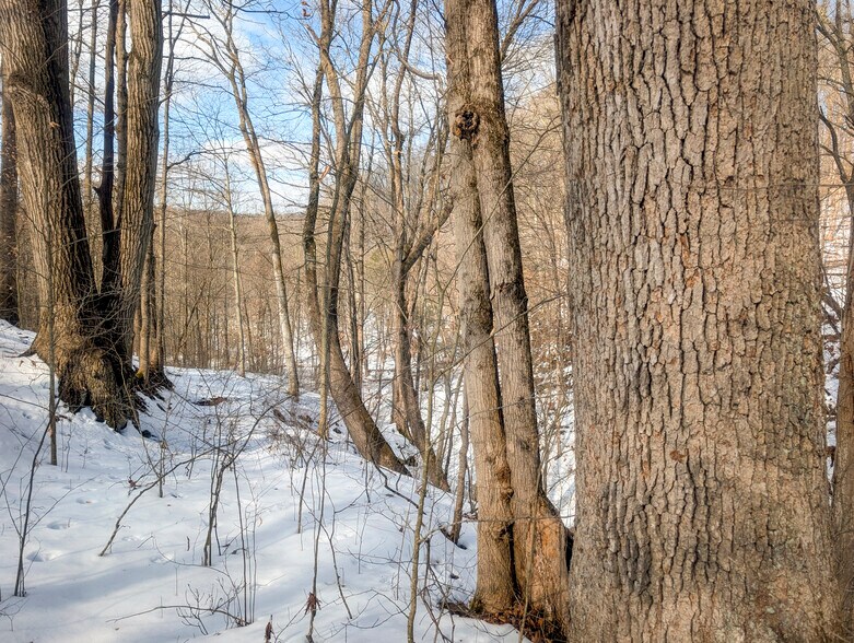 More Photos Of ,  Land For Sale