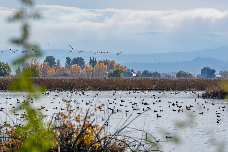 More Photos Of 41579 Osprey Rd, Fall River Mills Land For Sale