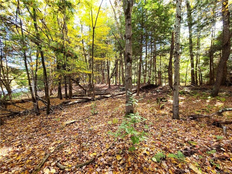 More Photos Of Kaufman Rd, Monticello Land For Sale