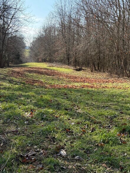 More Photos Of 4604 Summersville Rd, Campbellsville Land For Sale