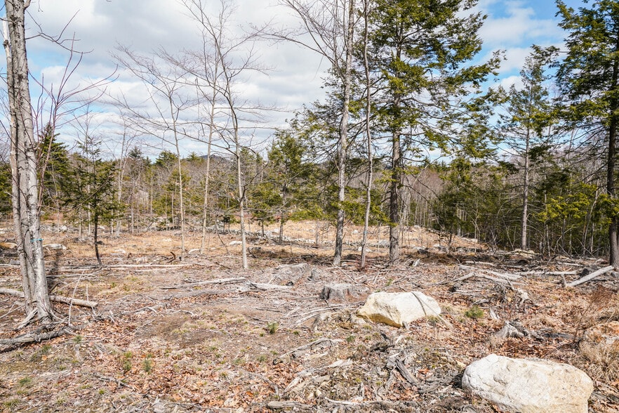 More Photos Of Lot 32-1 Chestnut Hill Road Rd, New Boston Land For Sale