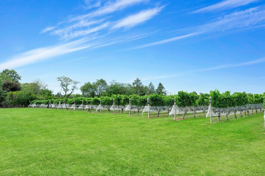 More Photos Of 44075 Rte 25, Peconic Winery Vineyard For Sale