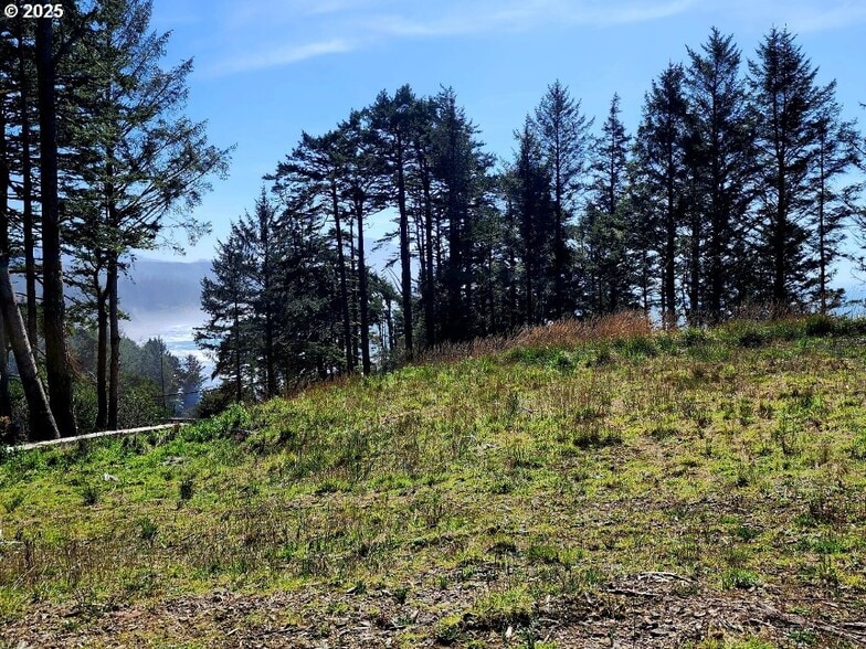 More Photos Of Hubbard Ln @ Cemetery Loop Rd, Port Orford Land For Sale