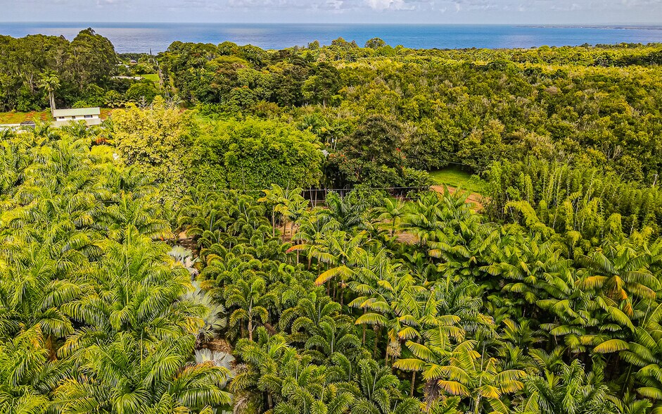 More Photos Of 27-2760 Hawaii Belt Rd, Pepeekeo Land For Sale