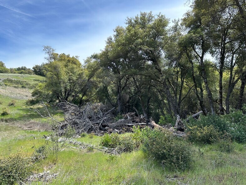 More Photos Of Hawk Haven Lane, Somerset Land For Sale