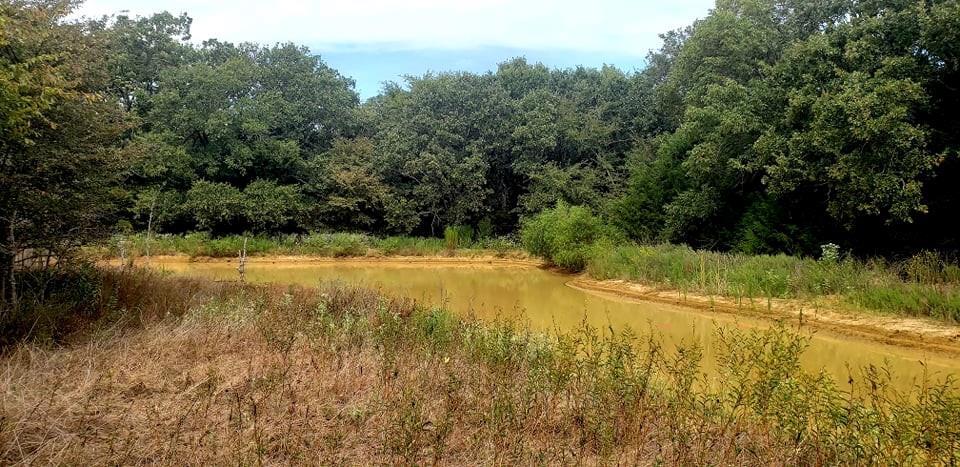 More Photos Of 2383 Goodnight Boulevard, Wills Point Land For Sale