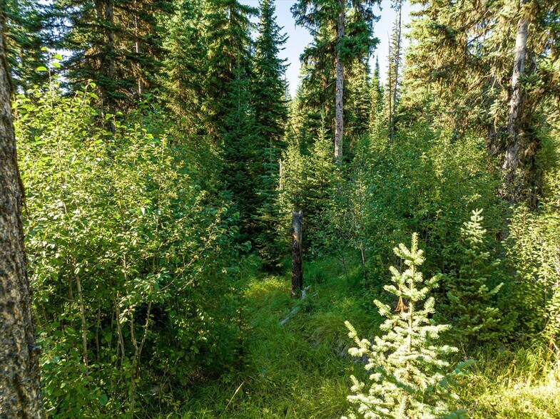 More Photos Of Nhn Logan Creek Road, Kila Land For Sale