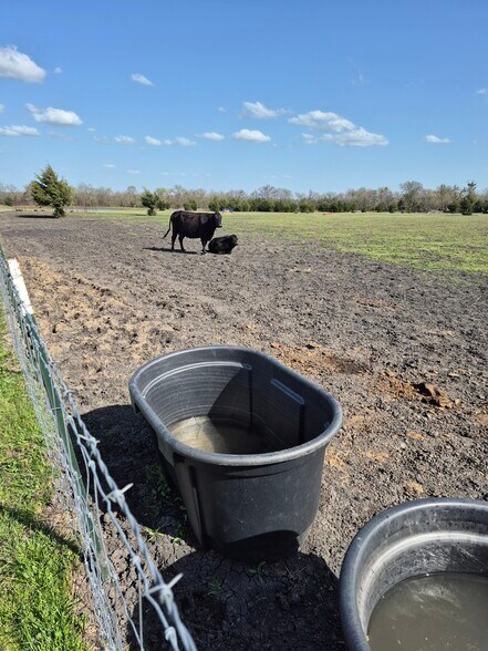 More Photos Of 9561 N TX-50 Hwy, Ladonia Land For Sale