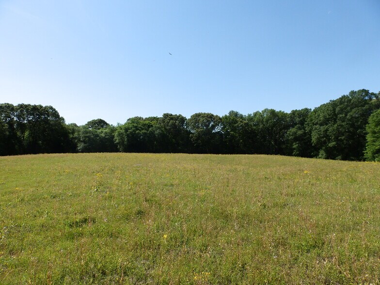 More Photos Of 3168 US Highway 175, Frankston Land For Sale