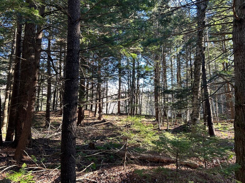 More Photos Of , Killington Land For Sale