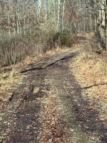 More Photos Of 4604 Summersville Rd, Campbellsville Land For Sale