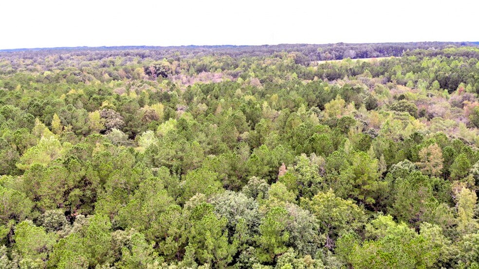 More Photos Of 300 Milton Welch (47+ acres - address # est) Rd, Sanford Land For Sale