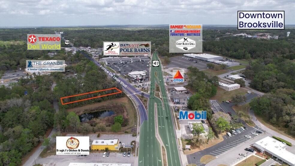 Primary Photo Of Ponce De Leon Blvd, Brooksville Land For Sale