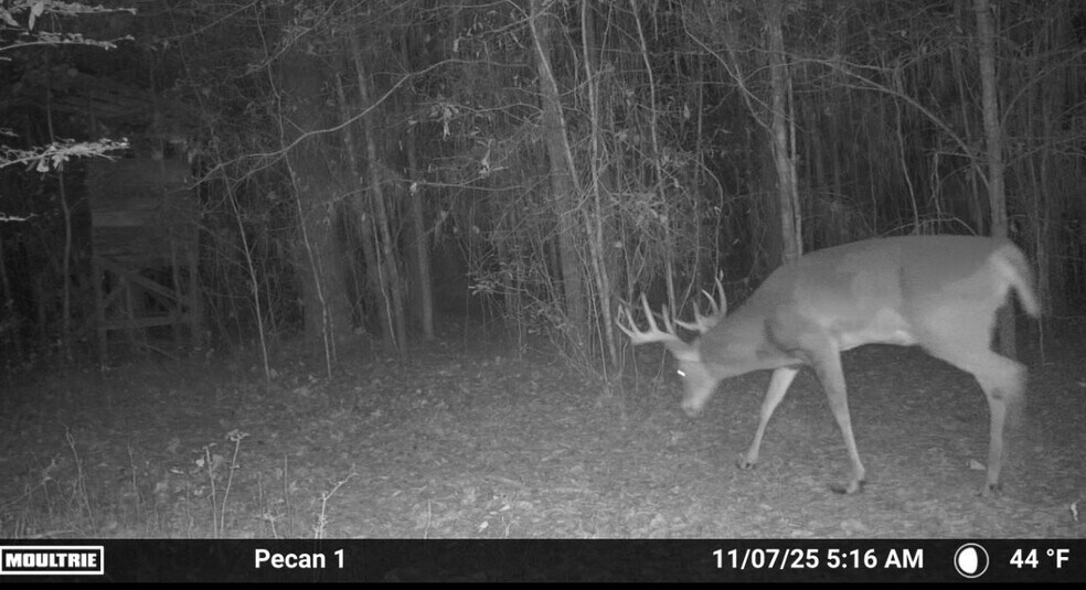 More Photos Of 9036 Bullard Rd, Dry Branch Lodge Meeting Hall For Sale