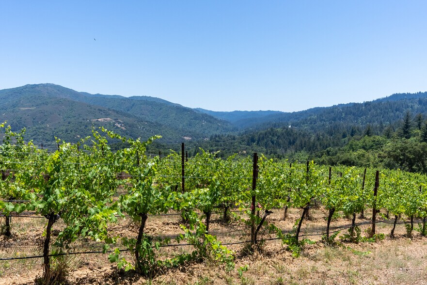 More Photos Of 18570 Black Rd, Los Gatos Land For Sale