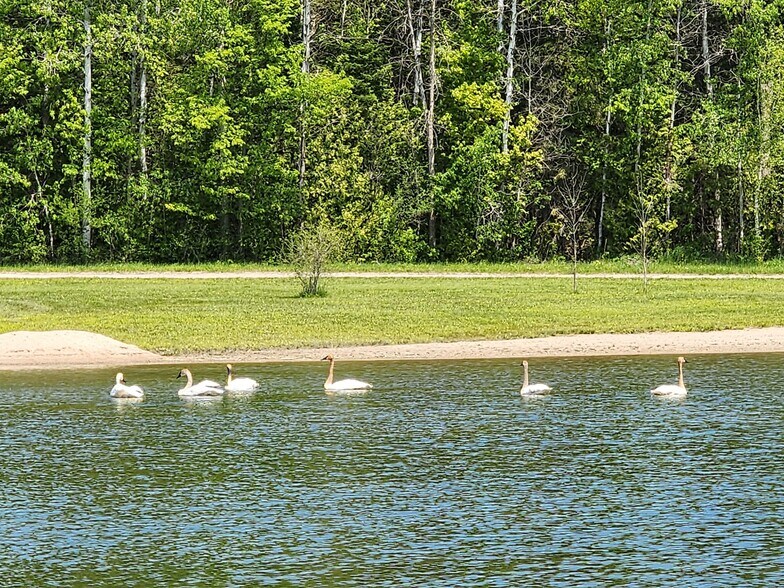 More Photos Of 1789 Rainbow Valley Rd W, Minesing Manufactured Housing Mobile Home Park For Sale