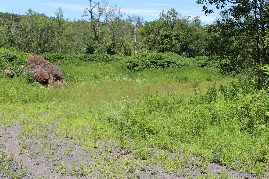 More Photos Of E Mountain Rd, Westfield Land For Sale