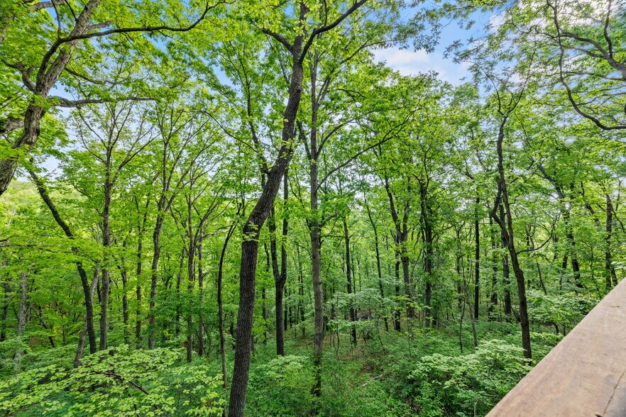 More Photos Of 22468 State Highway 112, Cassville Specialty For Sale