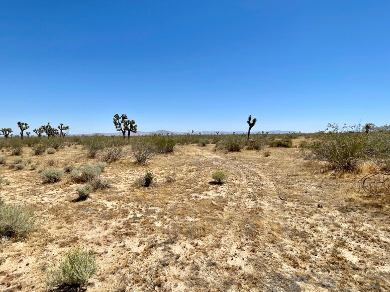 More Photos Of Nevada Rd @ South St., Phelan Land For Sale