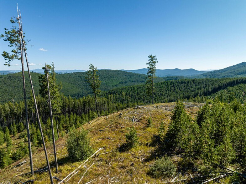 More Photos Of Nhn Logan Creek Road, Kila Land For Sale