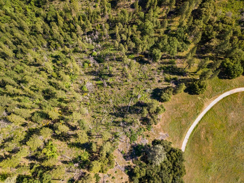 More Photos Of 0000 Upton Rd, Somerset Land For Sale