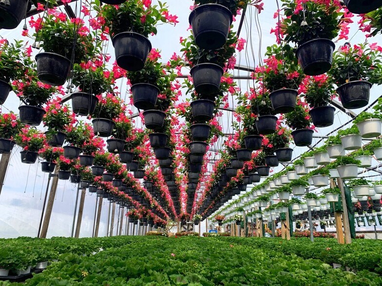 More Photos Of 179 Sandwich Rd, Wareham Garden Center For Sale