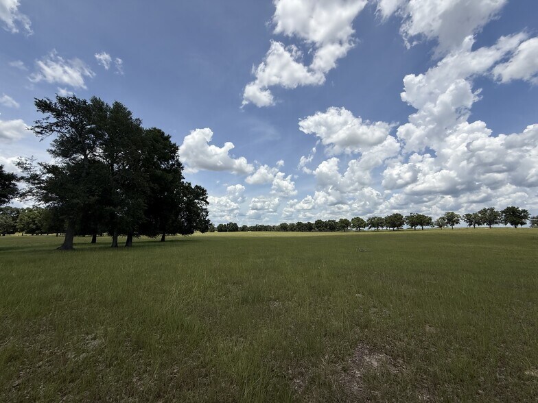 More Photos Of Highway 328 West, Dunnellon Land For Sale