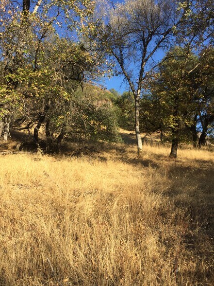 Primary Photo Of Ranch Camp Road @ Omo Ranch Road, Somerset Land For Sale