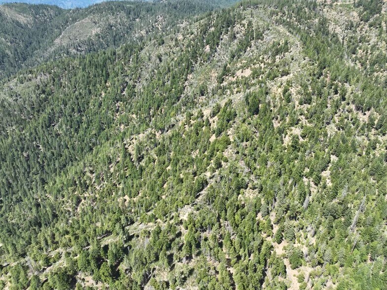 More Photos Of 2510 Fs rd, Hyampom Land For Sale