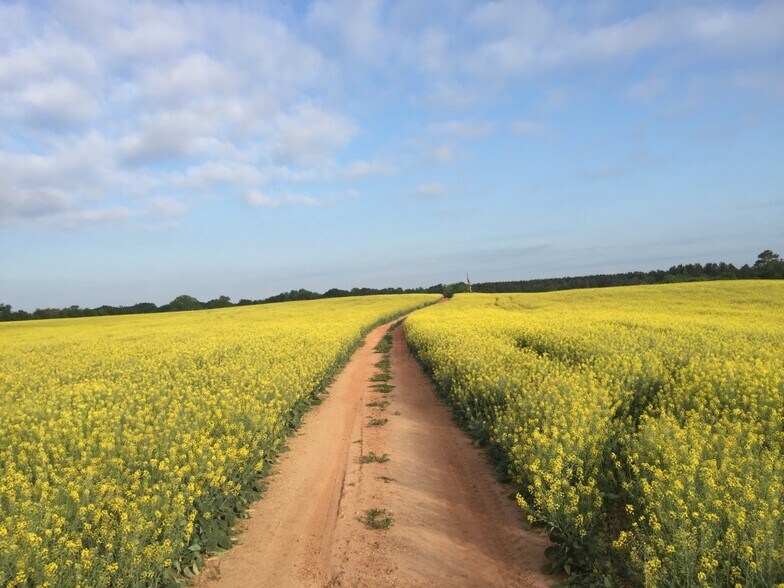 More Photos Of 220 Old Elberton Rd, Athens Land For Sale