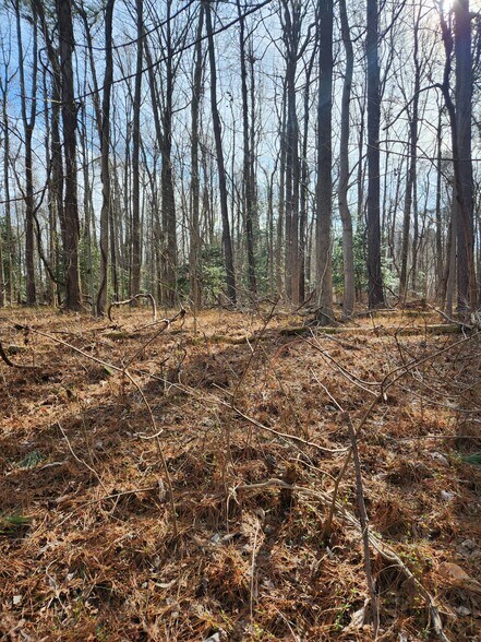 More Photos Of Lot 69 Plantation, Montross Land For Sale