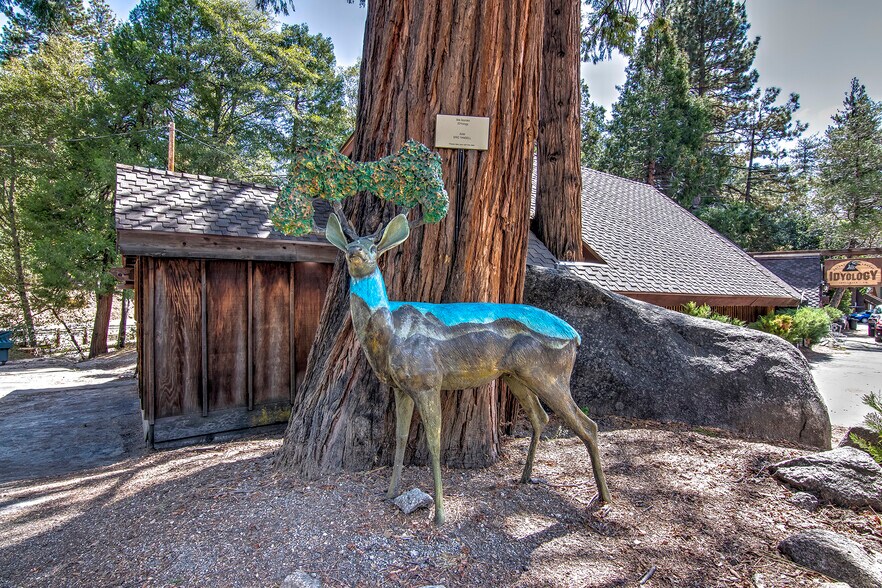 More Photos Of 54905 N Circle Dr, Idyllwild-Pine Cove Restaurant For Lease