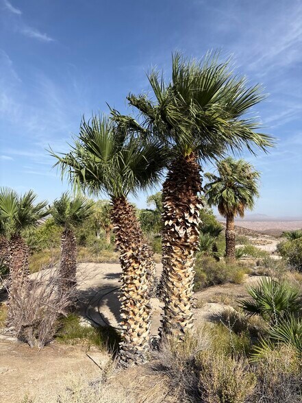 More Photos Of 160 +/- Acres Juanita Springs Ranch, Bunkerville Land For Sale