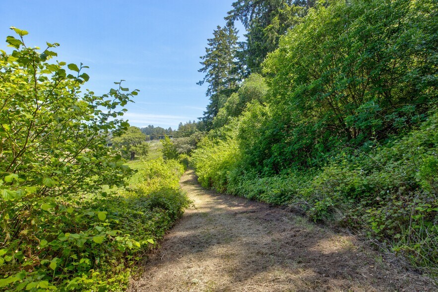More Photos Of 5090 La Honda Rd, San Gregorio Land For Sale