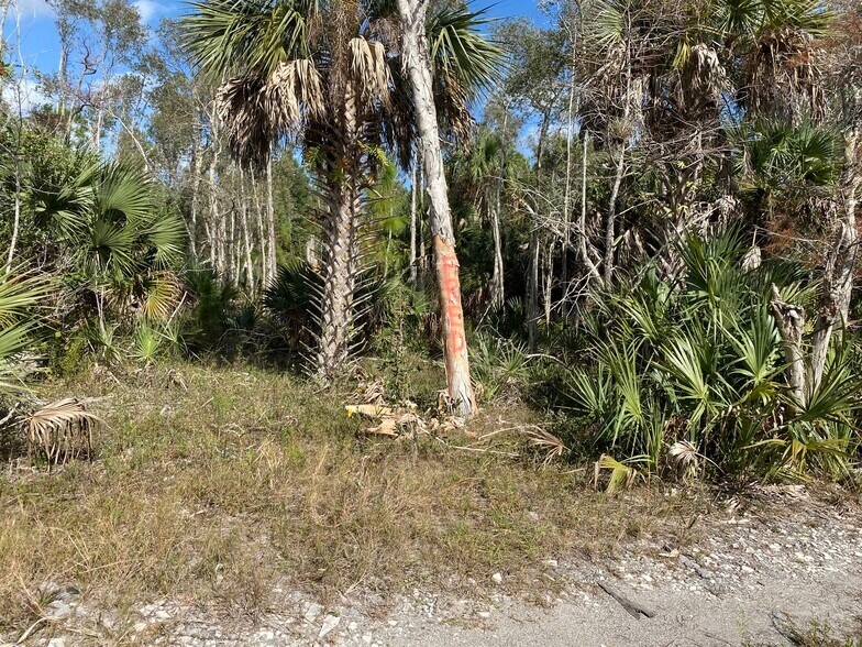More Photos Of 0 Blackburn Rd, Naples Land For Sale