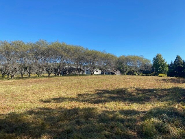 More Photos Of 989 NY-32, Wallkill Land For Sale