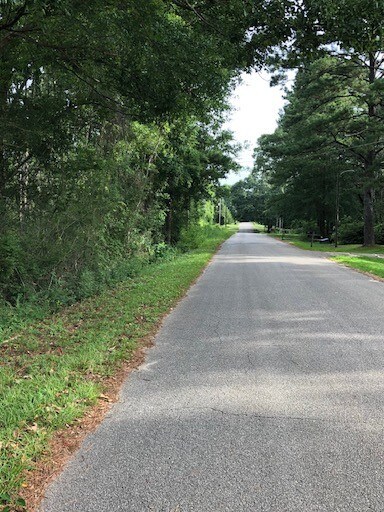 More Photos Of 7687 Spanish Fort Blvd, Spanish Fort Land For Sale