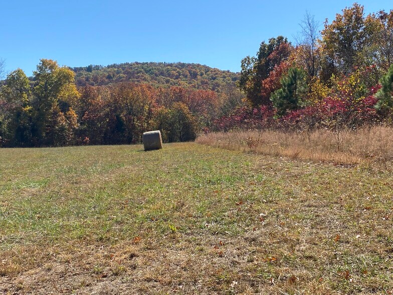 More Photos Of Creel Road @ Hwy 392, Harrison Land For Sale