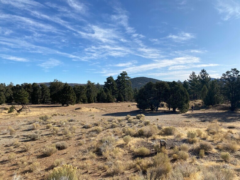 Primary Photo Of 0 Pine Ln, Big Bear City Land For Sale