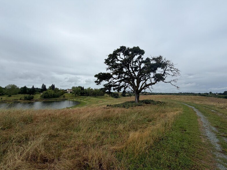 More Photos Of 24045 Mcintire rd, Clements Land For Sale
